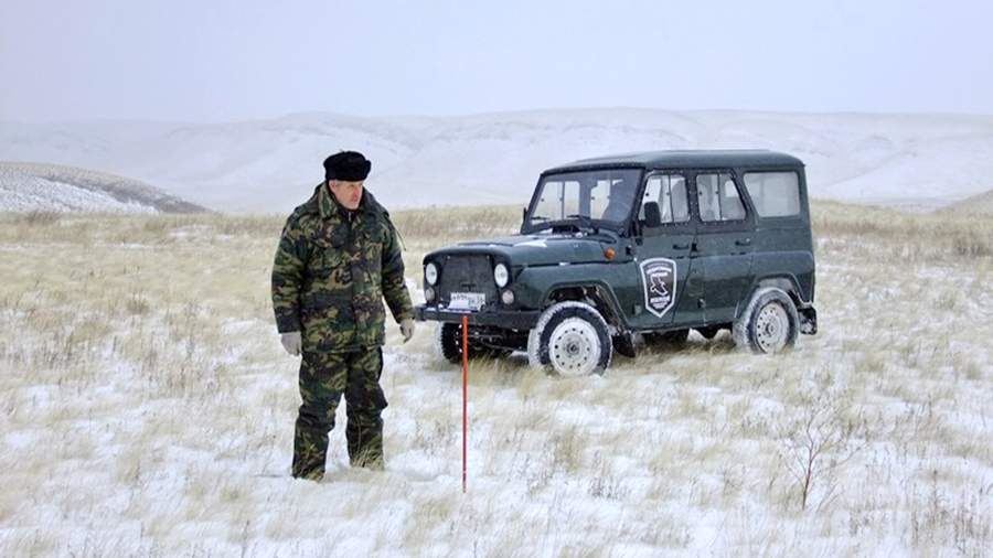 Особо охраняемые: как заповедники справляются с пожарами и браконьерами
